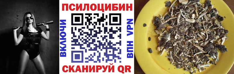 наркошоп  Кудымкар  Галлюциногенные грибы мухоморы 